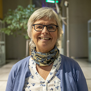 Ann Irene Sæternes